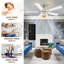 Ventilateur de plafond 52 po en rotin blanc avec ensemble d'éclairage et télécommande