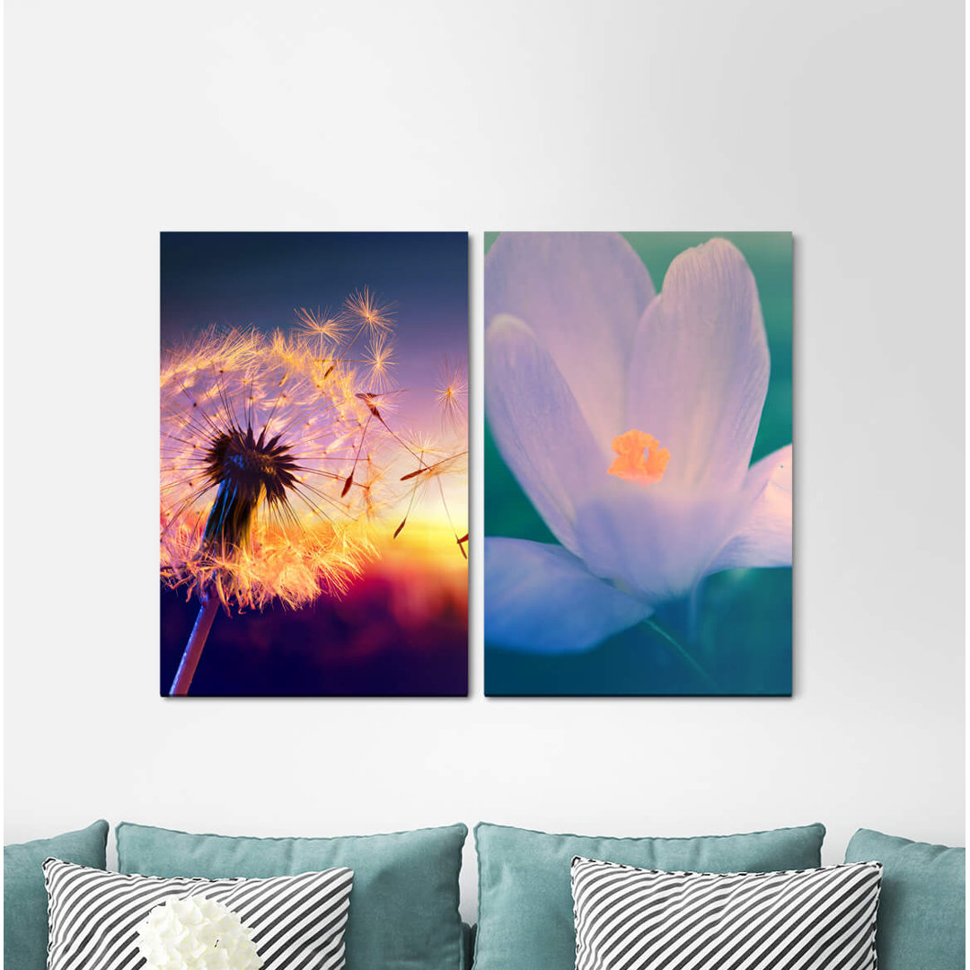 2-tlg. Leinwandbilder-Set - Fotografie „Blowball Blossom Sunset Mild Warm Healing”