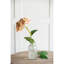 Fausse tige d'hortensia-40159547