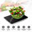 Uten Digital Scale