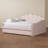 Foust Timila Modern and Contemporary Velvet Upholstered Daybed with Trundle