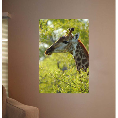 Décalcomanie murale giraffe iii 