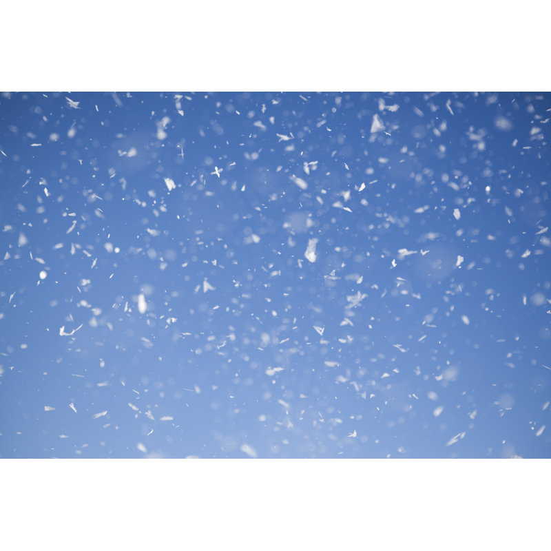 Snowing by D-Keine - No Frame Print on Canvas, 81cm H x 122cm W