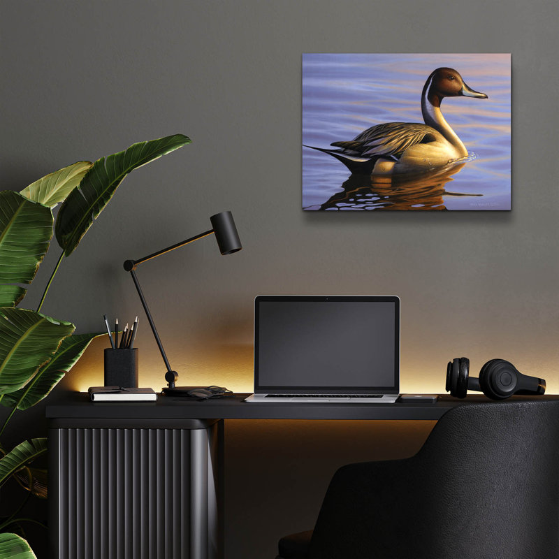 «Lone Pintail» par Mark Mueller, art animalier, H 12 po x l 16 po x P 0,13 po