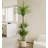 High-End Dragon's Blood Tree Bionic Green Plant