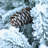 2FT Flocked Christmas Tree-1689602525