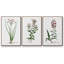 " Rose Botanical I " 3 - Pieces-91891238-91891242