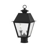 Fraida Lantern Head