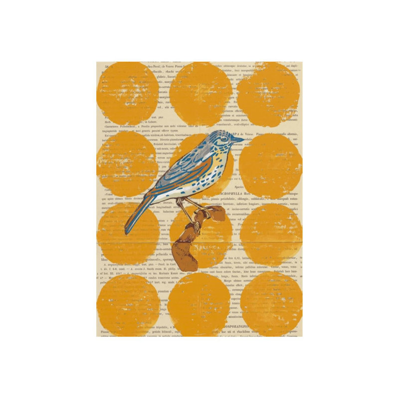 Bird Study I Print by Meredith Macleod, Plexi, 40" H x 30" W