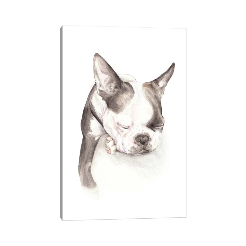 Boston Terrier Sleeping by Wandering Laur - Wrapped Canvas Painting, 20.32 cm H x 30.48 cm W