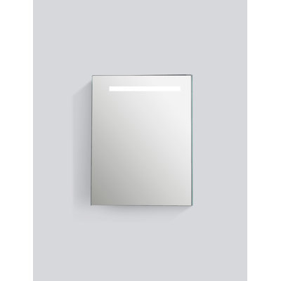 Al 20 " W X 26.6 " H Surface and Recessed Frameless Medicine Cabinet with Mirror