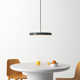 Ivan Single Light Metal Dimmable LED Pendant