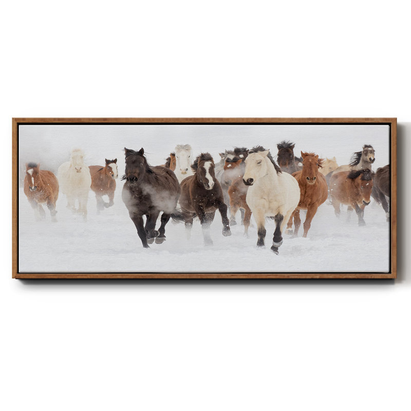 Pasture Run- Framed Canvas, 20" H x 50" W