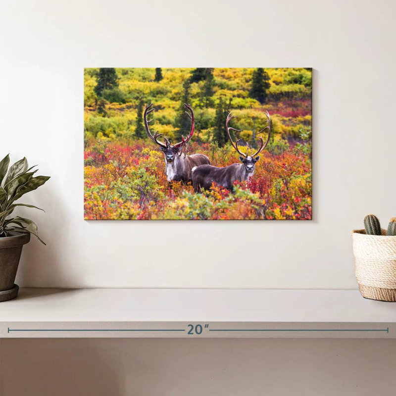 Brampt Caribou Pair, 8" H x 12" W