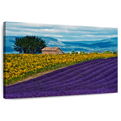 Vanna Valensole Lavender And Sunflowers