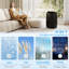 Portable Air Conditioner