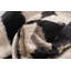 Canvello Decorative Black & White Throw Pillow | 16 X 24 In (40 X 60 Cm)
