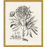Bessler Study Neutral 2' Framed Graphic Art Print on Glass