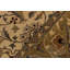 Wool Oriental Rug
