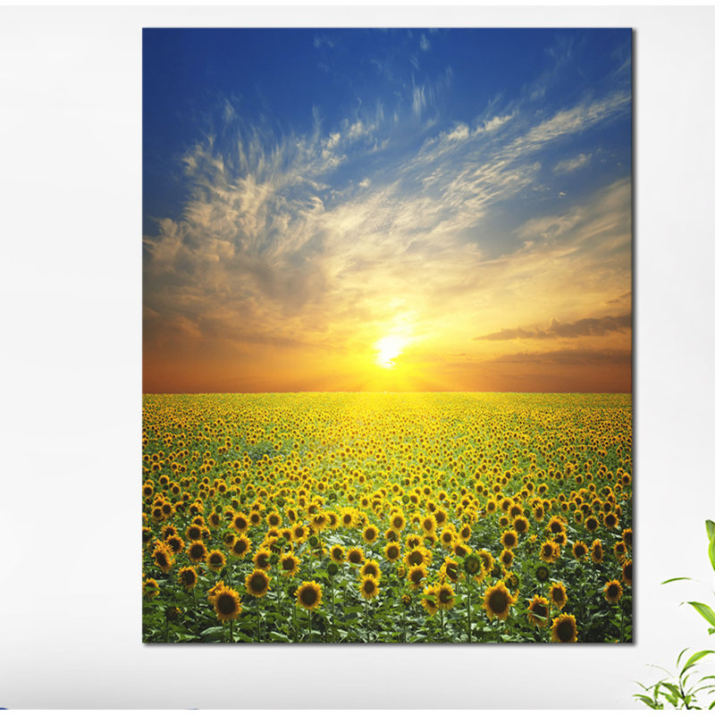 «Beauty Sunset over Sunflowers Field», reproduction de photo sur toile tendue, H 20 po x l 12 po x P 1po, Toile tendue
