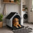 Large Outdoor Dog House-966938573