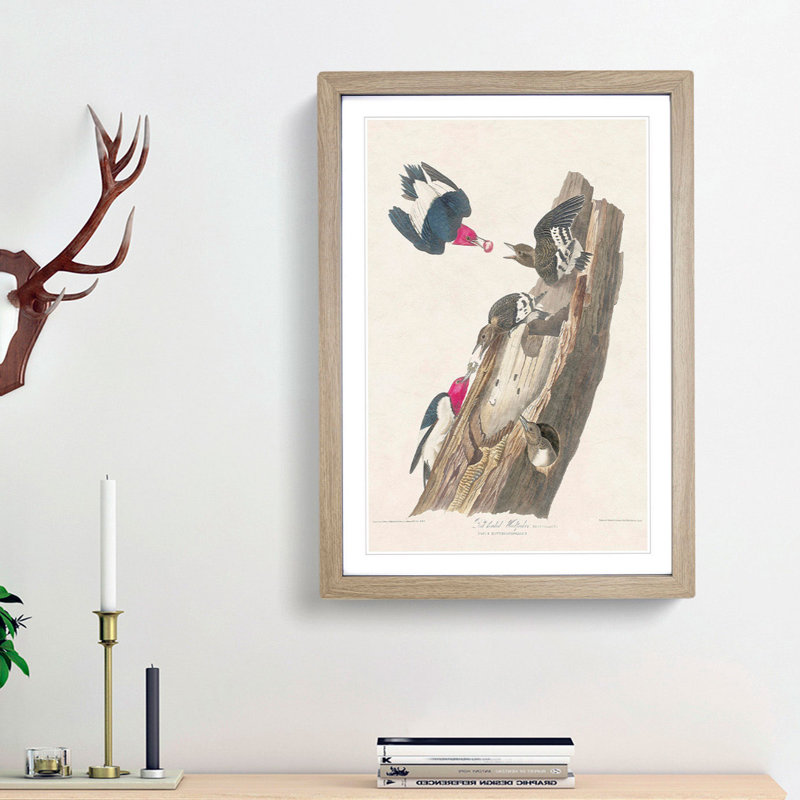 Red-Headed Woodpeckers by John James Audubon - Picture Frame Painting Print, 65cm H x 48cm W x 2cm D, Oak Framed