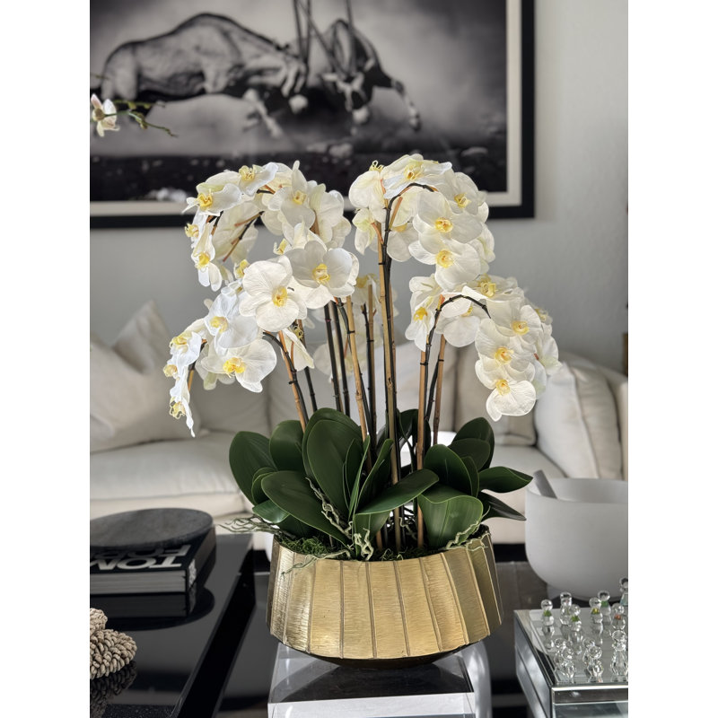 Jardinière Helena avec orchidées phalaopsis, Blanc
