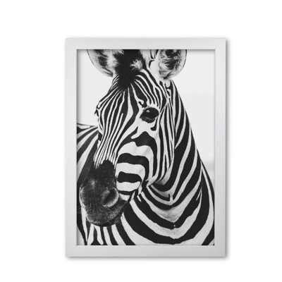 Zebra - Print