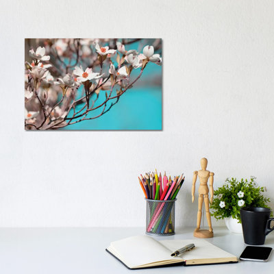 Dogwood Spring III by Sharon Chandler - Wrapped Canvas Print