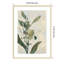 Reproduction d'art murale encadrée en bois "Fleur d'orchidée salée" par Jacob q-100672781