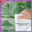 Édredon Lush Greenery-126342658