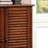Polton 15 Pair Shoe Storage Cabinet-1472719149