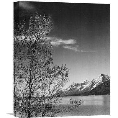 " View of Mountains with Tree in Foreground, Grand Teton National Park, Wyoming, 1941 " by Ansel Adams Print