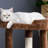23'' H Cat Tree-40179734