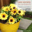 Jardinière ronde intérieure / extérieure-2129897084-2086173716
