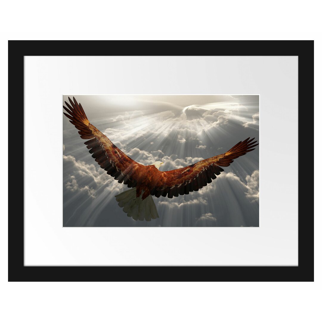 Anmutiger Adler über den Wolken Gerahmter Fotokunstdruck Poster