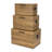Sable Set of 3 Trunks with Gold Handles-2046904636
