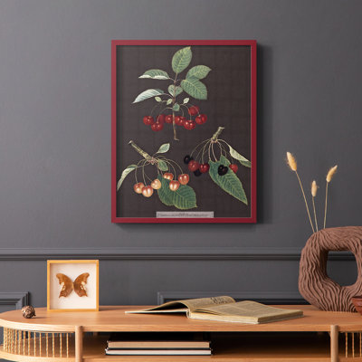 Brookshaw Cherries Framed Print - Solid Wood