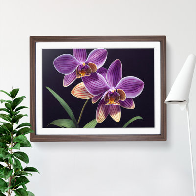 Unbeatable Orchid Flowers - Framed Print