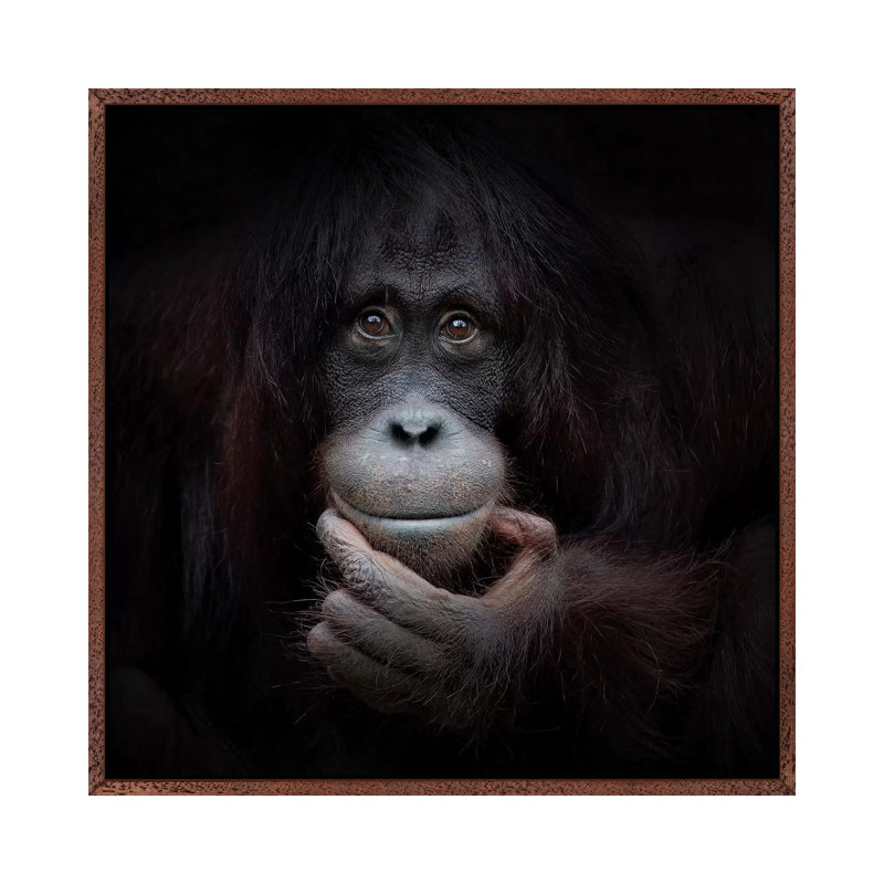The Mirror Image by Antje Wenner-Braun - Print on Canvas, 66.04 cm H x 66.04 cm W, Classic Brown Wood Framed