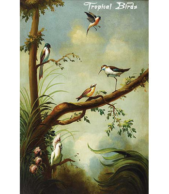 « tropical oiseaux », impression sur bois