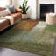 Chayden ACN1100 Machine Washable Indoor/Outdoor Green Area Rug-100136644