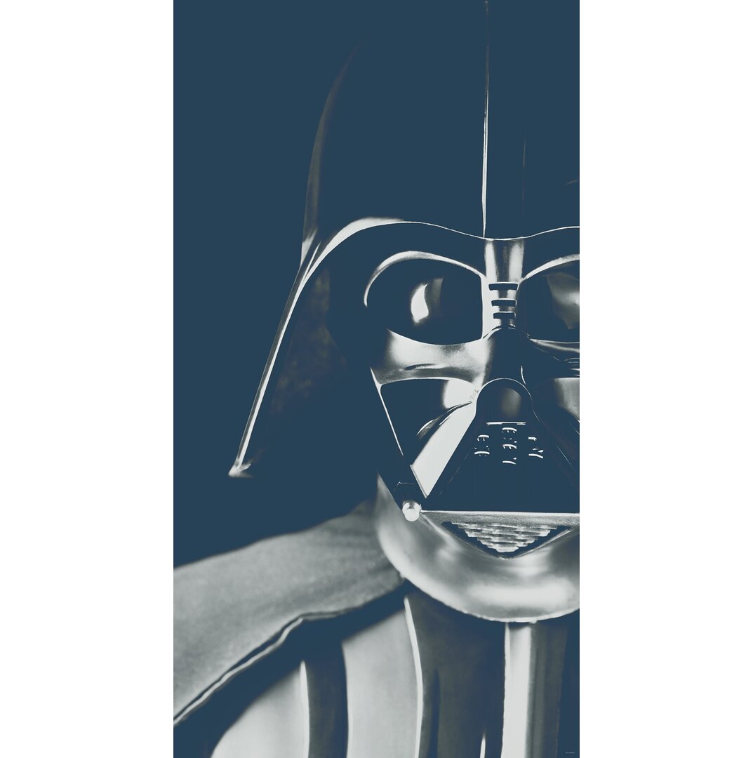 Tapete Star Wars Classic Icons Vader 2,8 m x 250 cm