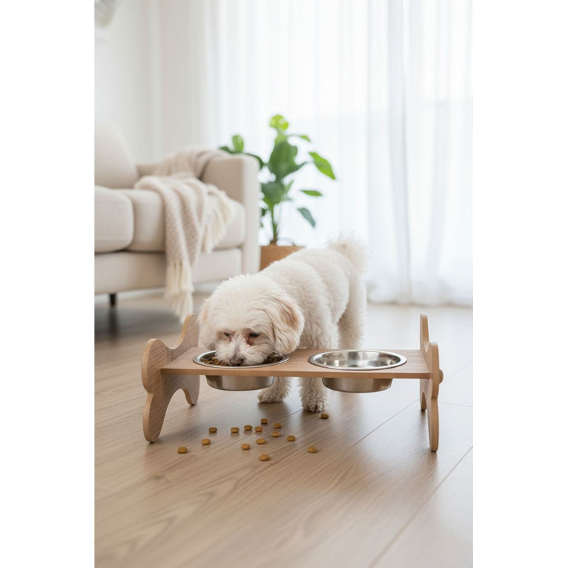 Bol pour nourriture pour animaux