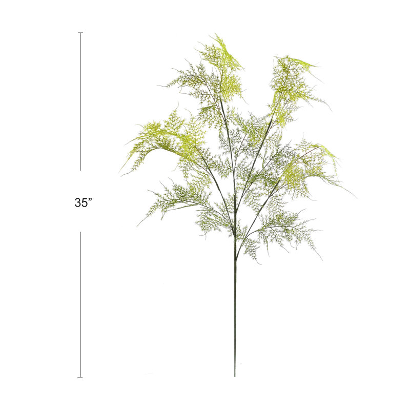 Branche d'asperge Sewell