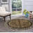 Alpaslan Animal Print Leopard, Tiger, Zebra Beige/Black Area Rug-23283426