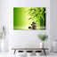 Zen Stones And Bamboo - No Frame Print on Canvas-98483511