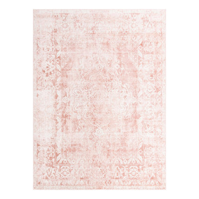 Boyland Oriental Indoor Rug