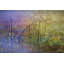 « pond surface » par chris exercice, reproduction d’art sur toile tendue-16030434
