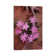 Desert Chicory Close Up Of Bloom, North America by Tim Fitzharris - Gallery-Wrapped Canvas Giclée on Canvas